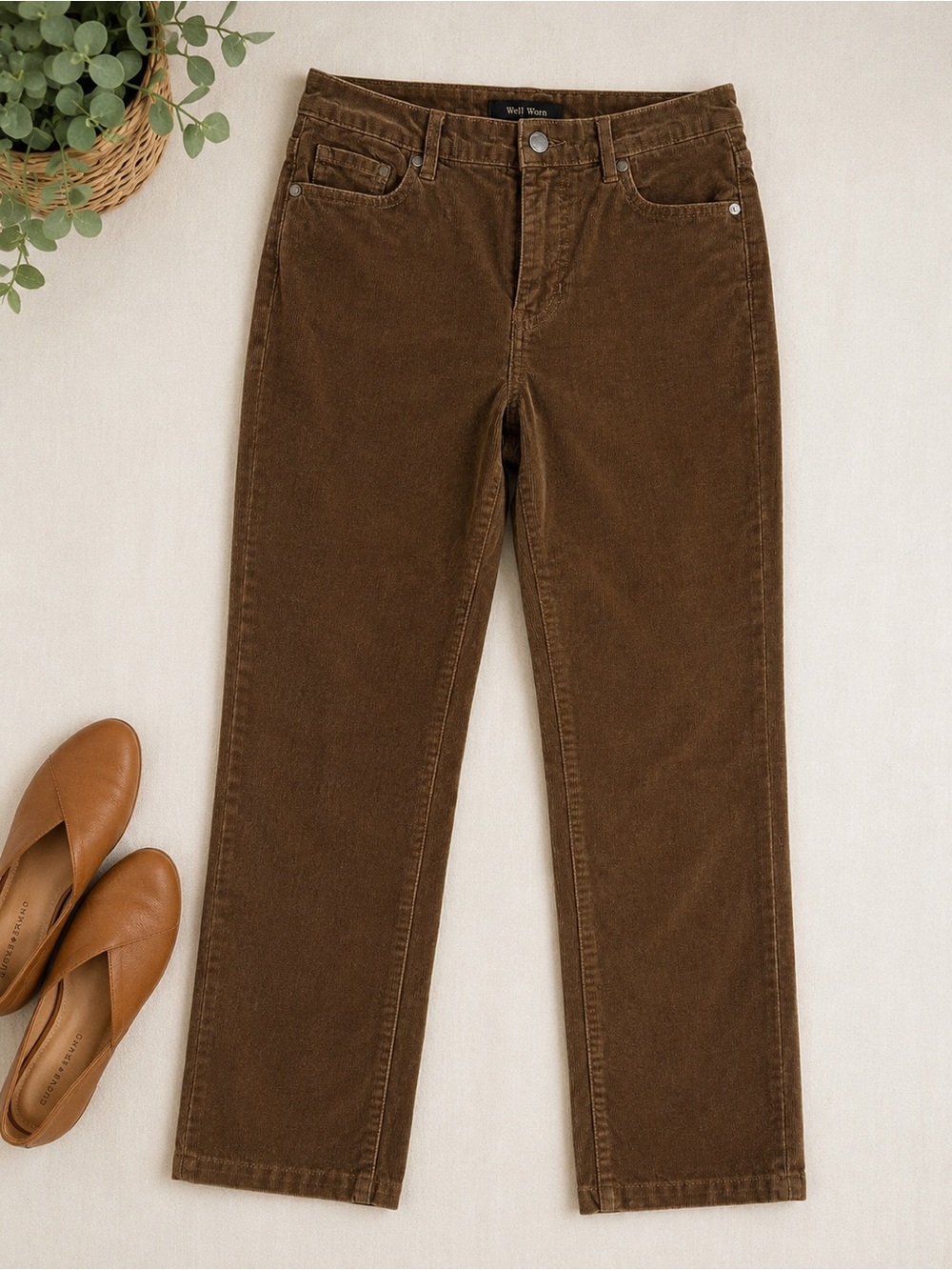 Well Worn Brown Corduroy Pants
